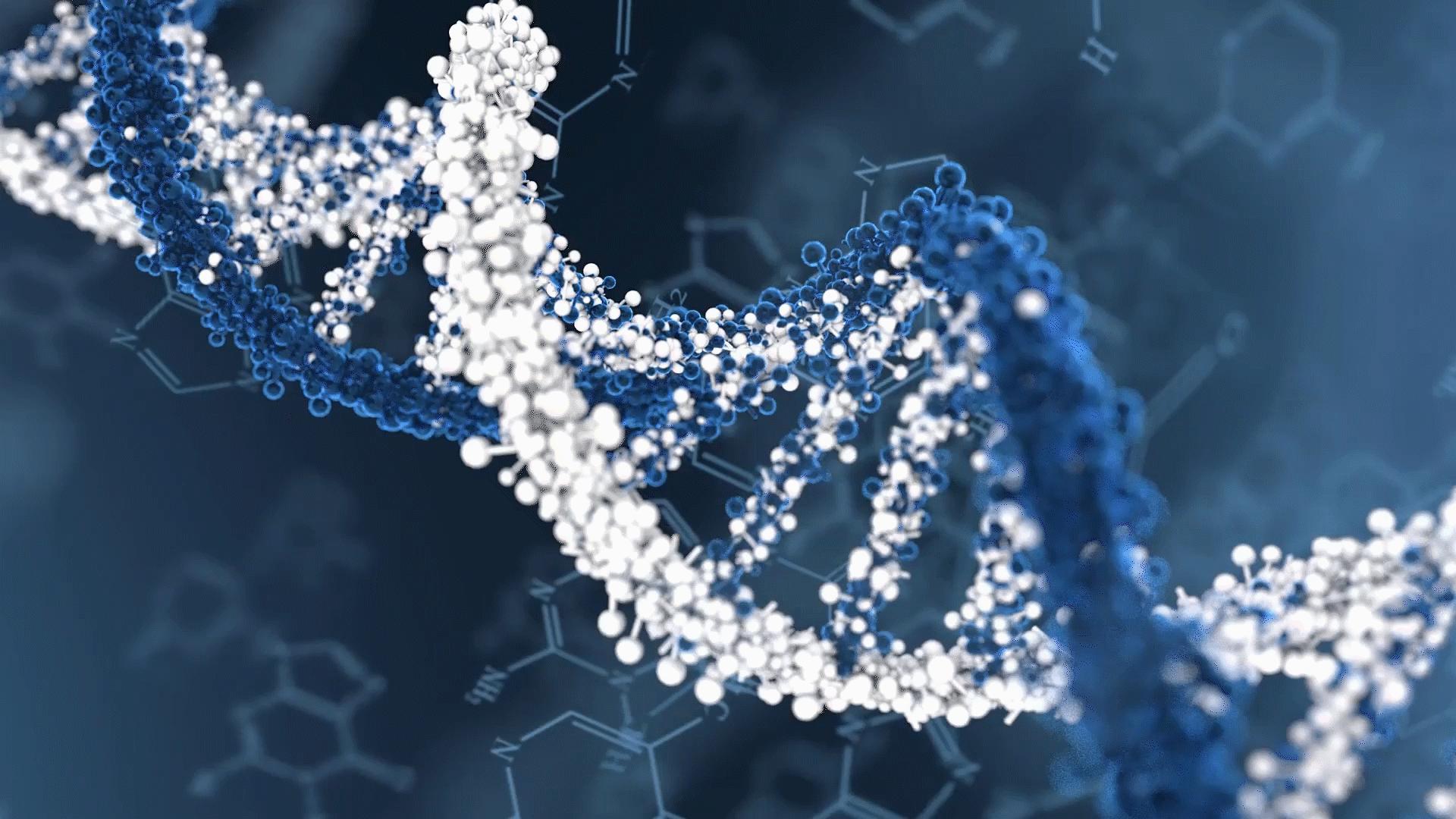 核因子,NFκB,在临床治疗上,是否与腱切断术的肌肉萎缩无关?