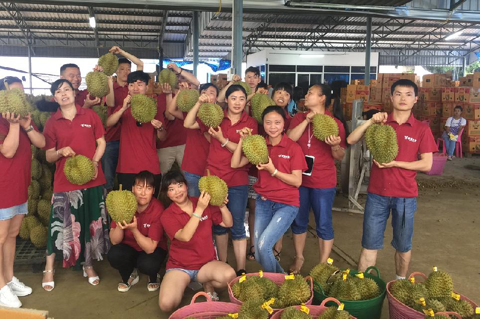 新的水果加盟店有哪些,开水果加盟店