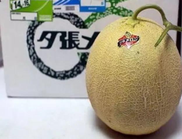 全世界最贵的6种水果,全世界最贵的六种水果