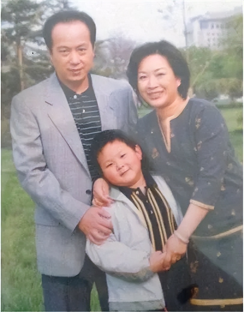 主持人罗京去世10年,主持人罗京去世年龄