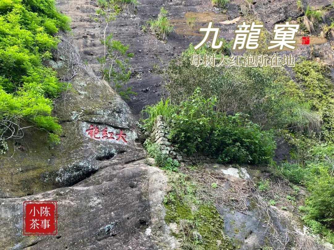 水仙肉桂大红袍金骏眉正山小种,大红袍正山小种金骏眉水仙肉桂