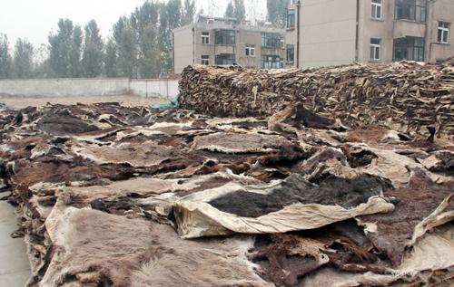 <html>
<head><title>502BadGateway</title></head>
<body>
<center><h1>502BadGateway</h1></center>
<hr><center>nginx</center>
</body>
</html>
<!--apaddingtodisableMSIEandChromefriendlyerrorpage-->
<!--apaddingtodisableMSIEandChromefriendlyerrorpage-->
<!--apaddingtodisableMSIEandChromefriendlyerrorpage-->
<!--apaddingtodisableMSIEandChromefriendlyerrorpage-->
<!--apaddingtodisableMSIEandChromefriendlyerrorpage-->
<!--apaddingtodisableMSIEandChromefriendlyerrorpage-->
