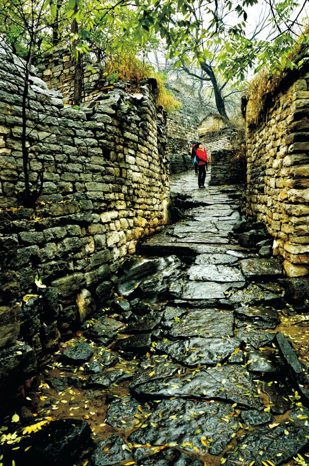 逛吃逛吃歌曲,逛吃逛吃