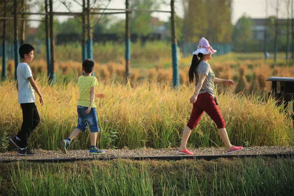 10个极具设计感的乡村改造,乡村创意改造景观