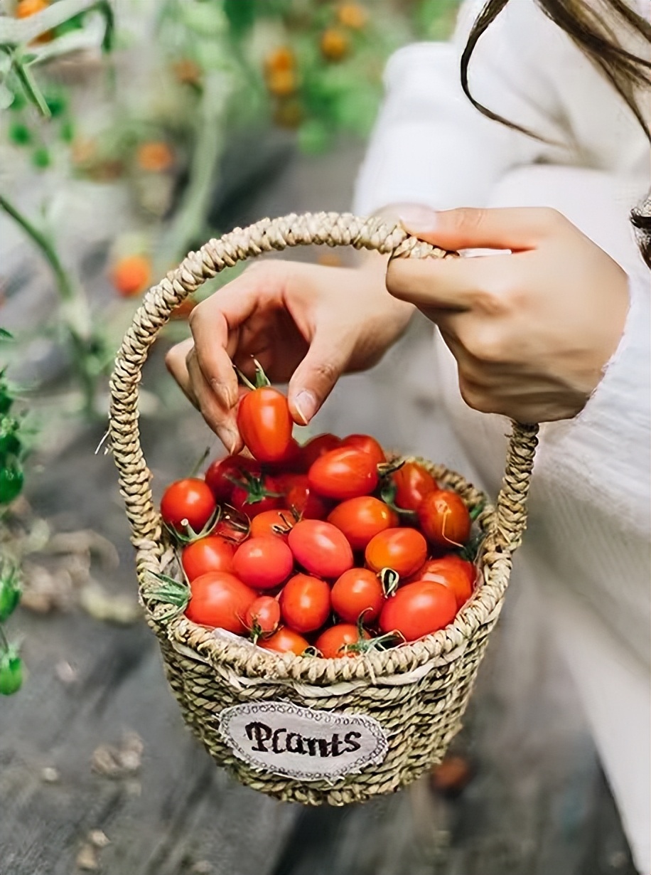 鼓浪屿可以当天预订船票攻略 (鼓浪屿还有免费的船票吗)