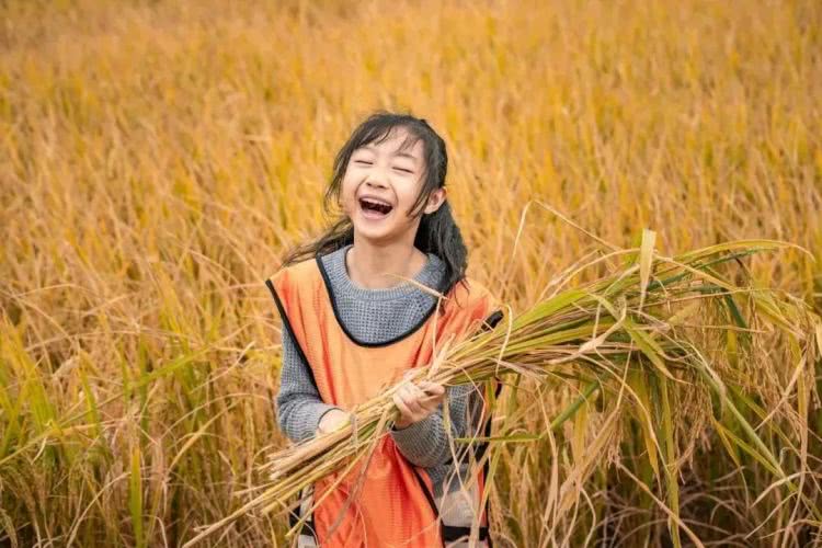 聚龙小镇：离城不离尘的心灵