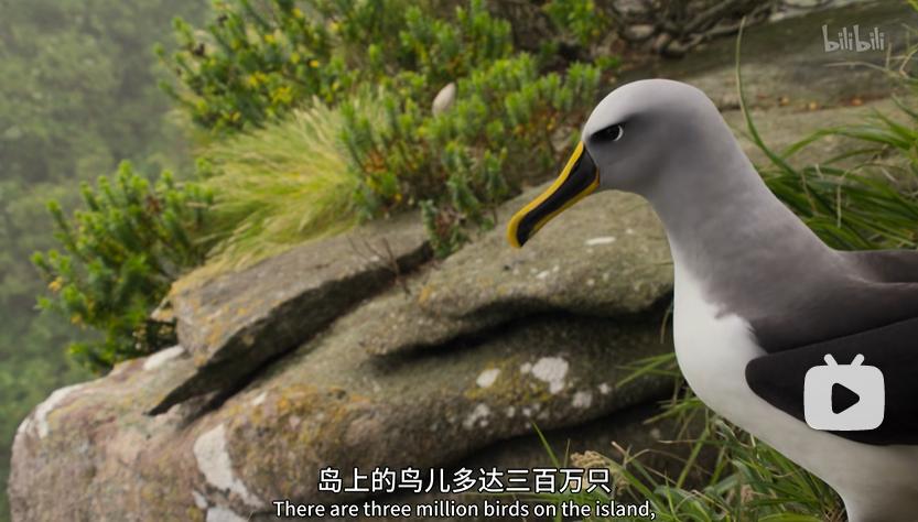 模范夫妻离婚了吗,再恩爱的夫妻最后都会离婚吗