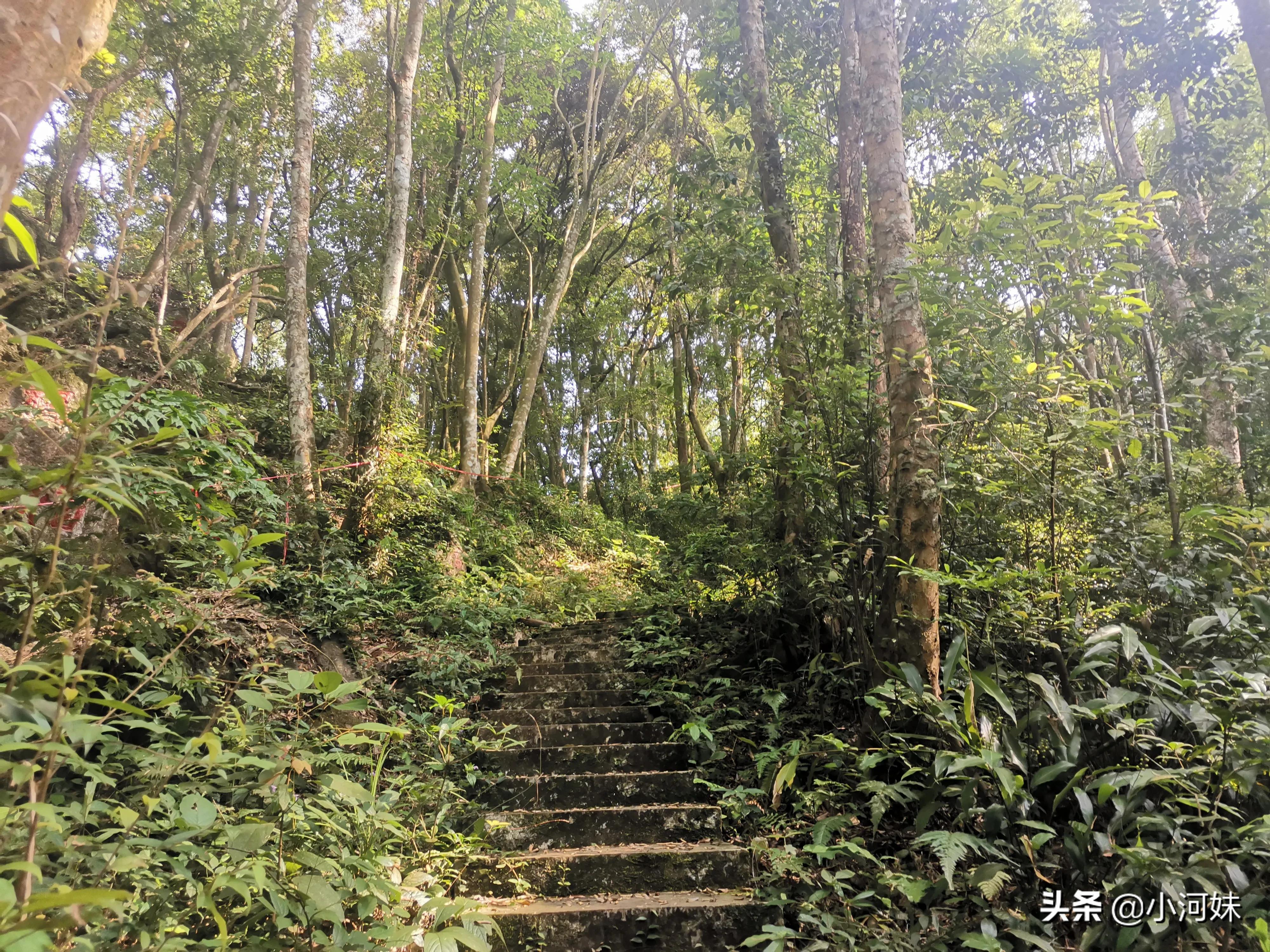 广东最有灵气的道观,广东省第一道观