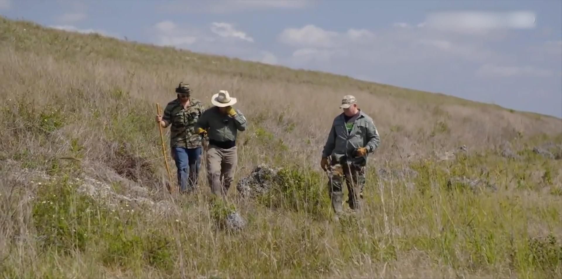美洲豹捕杀鳄鱼为什么咬背部脖子,美洲豹捕杀鳄鱼压住鳄鱼