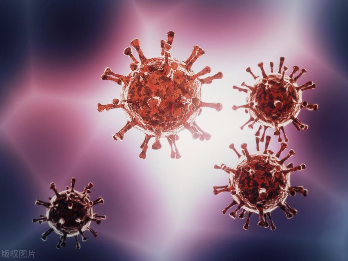 六种传播疾病怎么治,六种疾病可以传染人