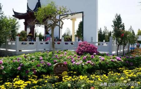 鄢陵温泉旁边有什么玩的,鄢陵泡温泉省钱攻略