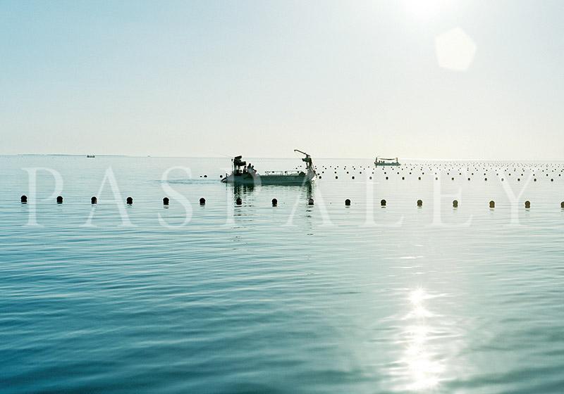 澳白珍珠品牌值得买吗,澳门有paspaley澳白珍珠专柜吗