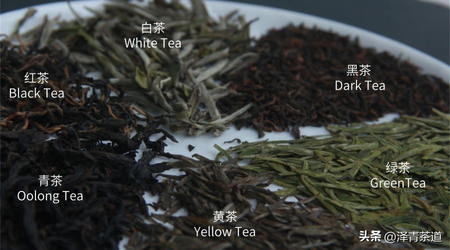 绿茶红茶黑茶白茶黄茶青茶,绿茶红茶青茶白茶黑茶黄茶哪个好