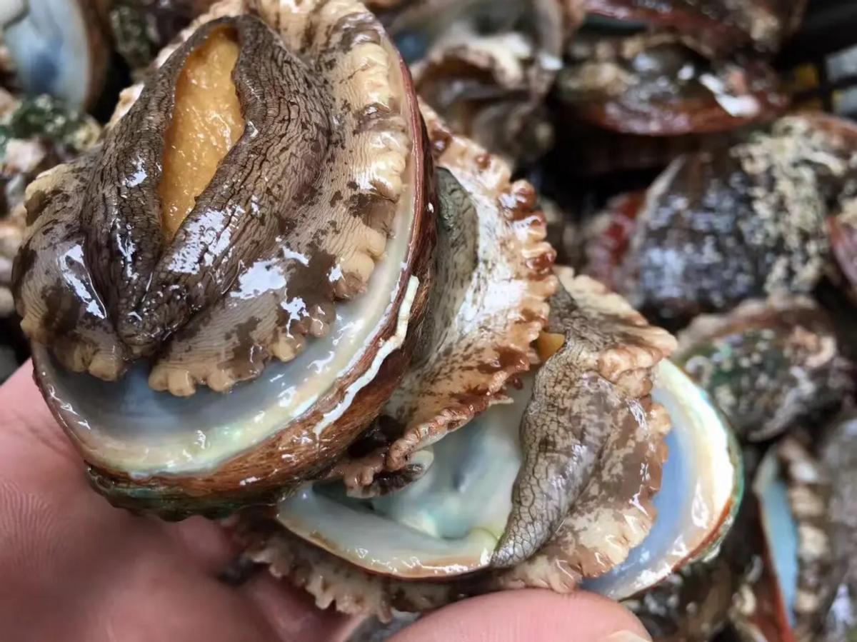 福建的农村酒席吃些什么,福建高档乡宴酒席菜