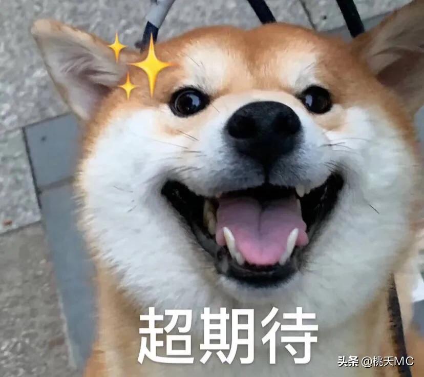 男人一辈子不结婚的生活,男人一辈子不恋爱会怎么样