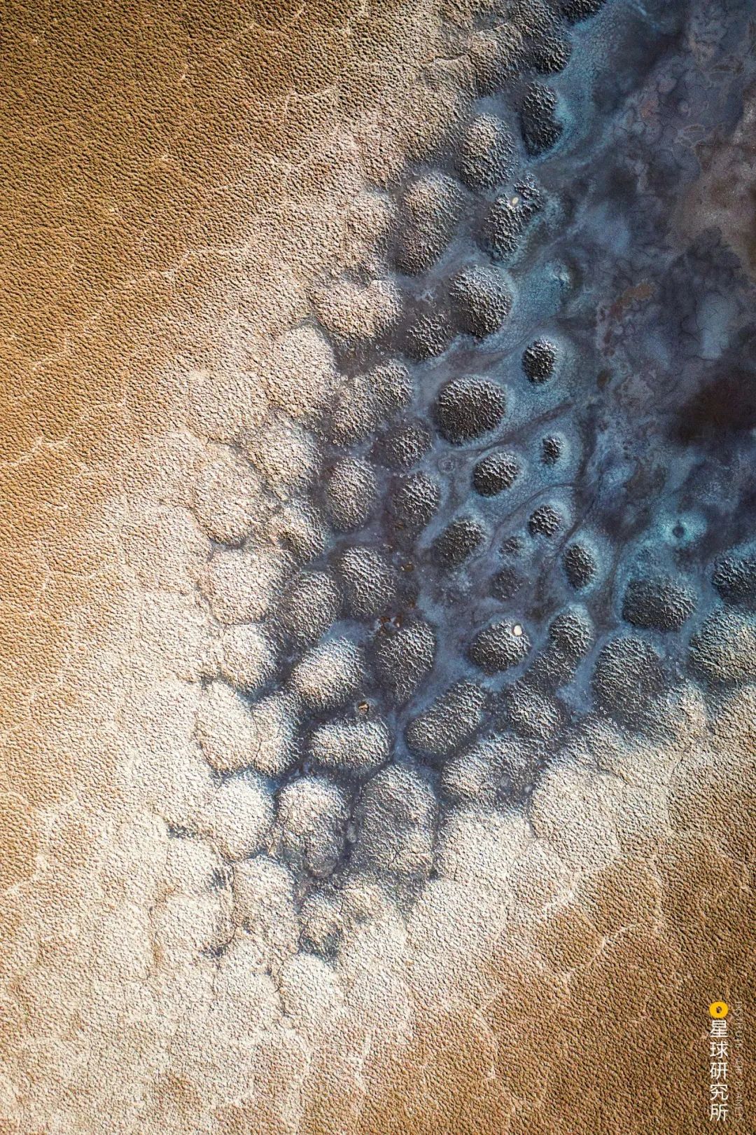 去青藏高原，看“千错万错”