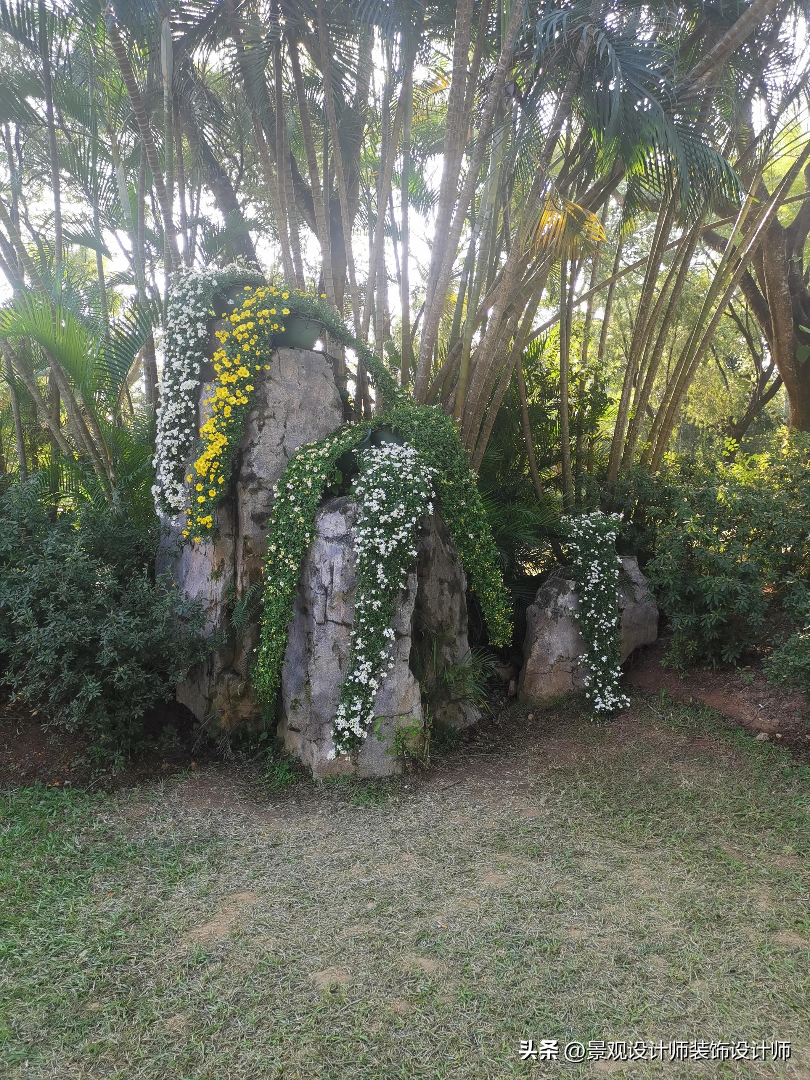 深圳市东湖公园收费标准,深圳市东湖公园宾馆