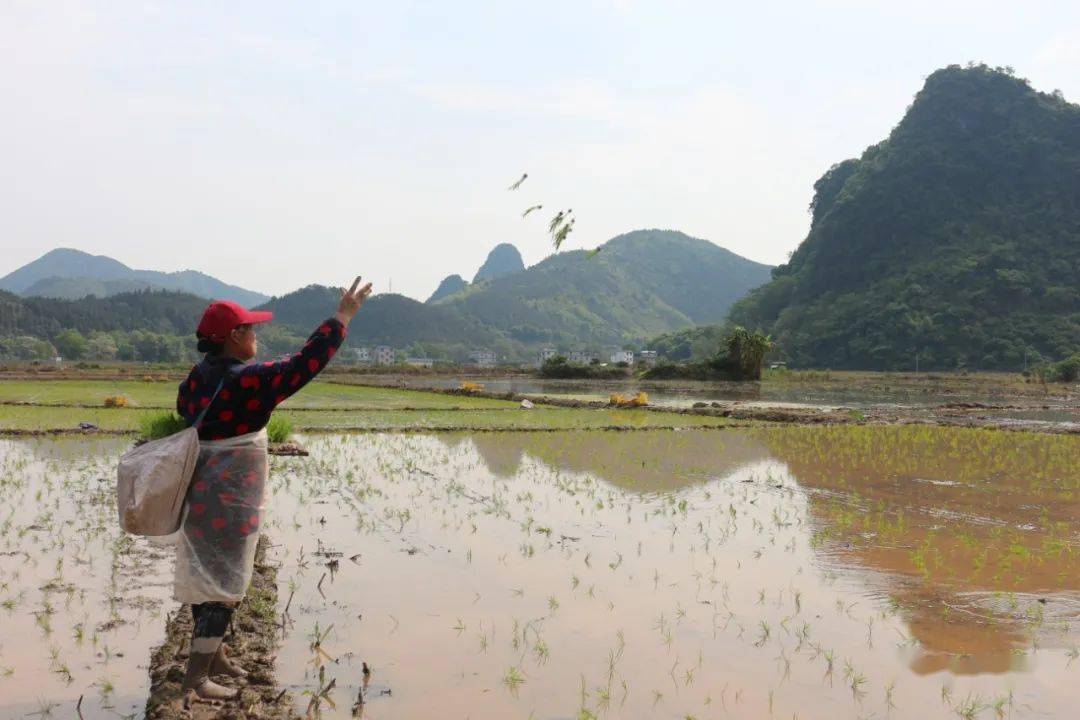 广西各种习俗,广西湖南习俗