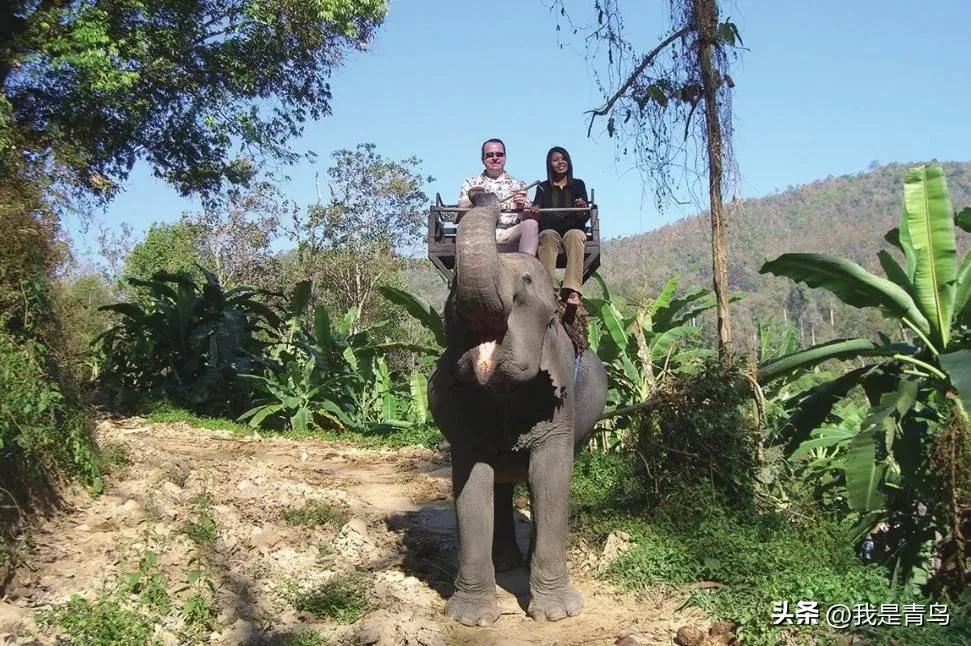 泰国大象水果餐,泰国美食符号