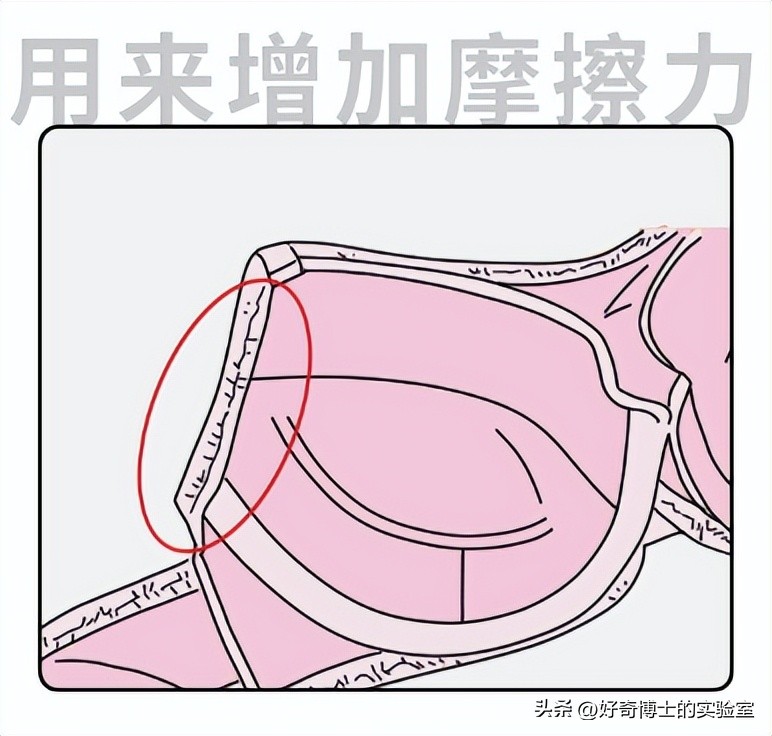女生穿抹胸为啥不会往下掉？（男生禁入）