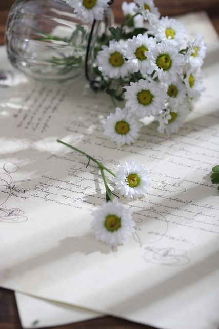 春风十里如沐春风散文,经典里的春天散文