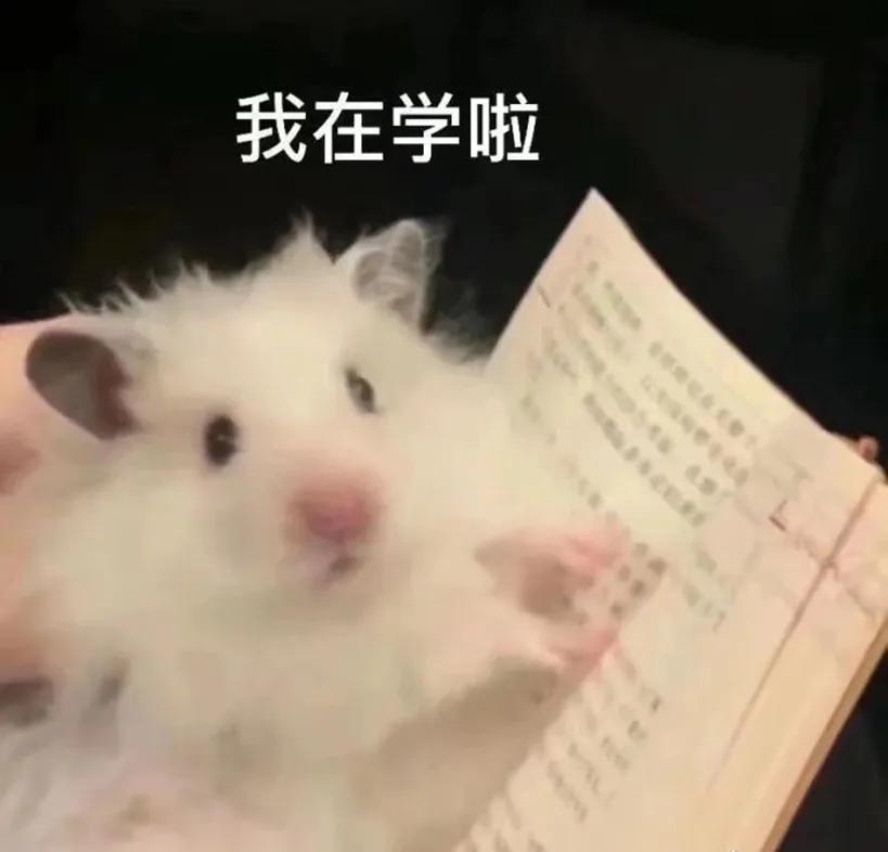 江苏省考面试如何上80,江苏省考面试如何准备