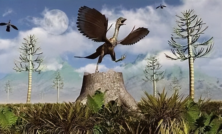 始祖鸟谣言,始祖鸟你不知道的用法