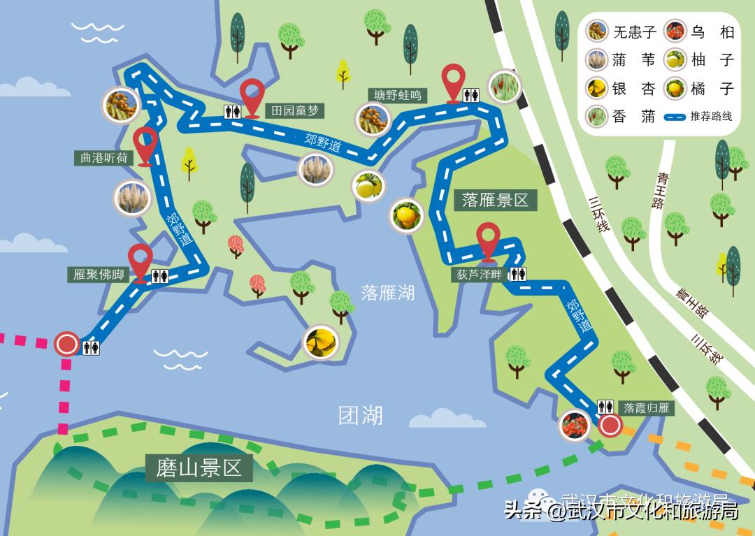 明天出太阳，到东湖捡叶子去！