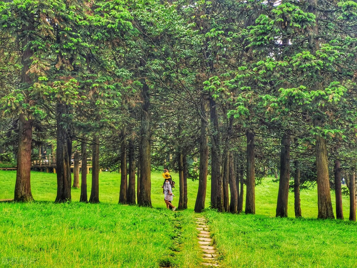 重庆武隆仙女山冬天自驾旅游攻略,仙女山游客中心到仙女山大草原