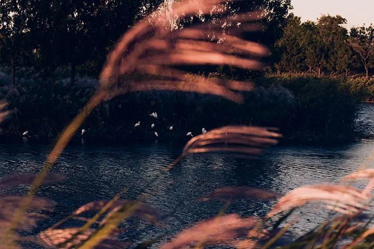 下元节是什么事儿,下元节是中国的什么节日