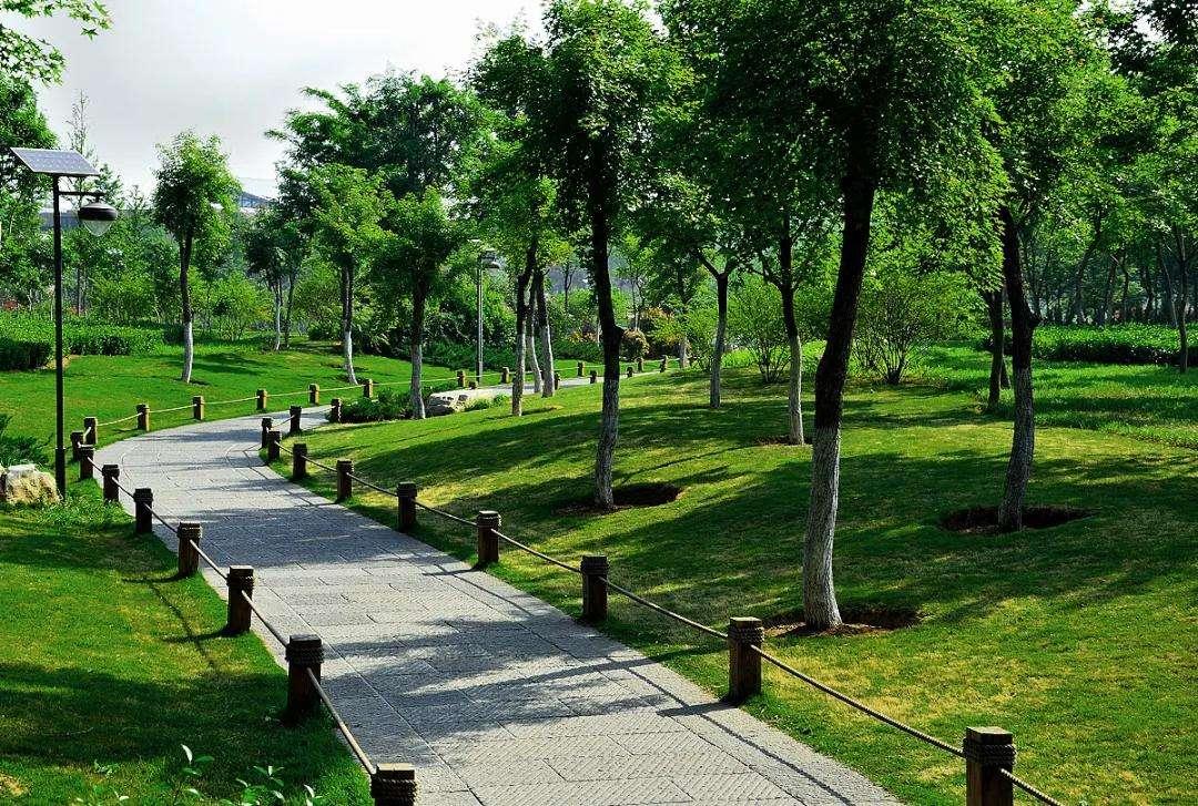 济南西客站未来5年规划图,济南西客站片区未来发展前景如何