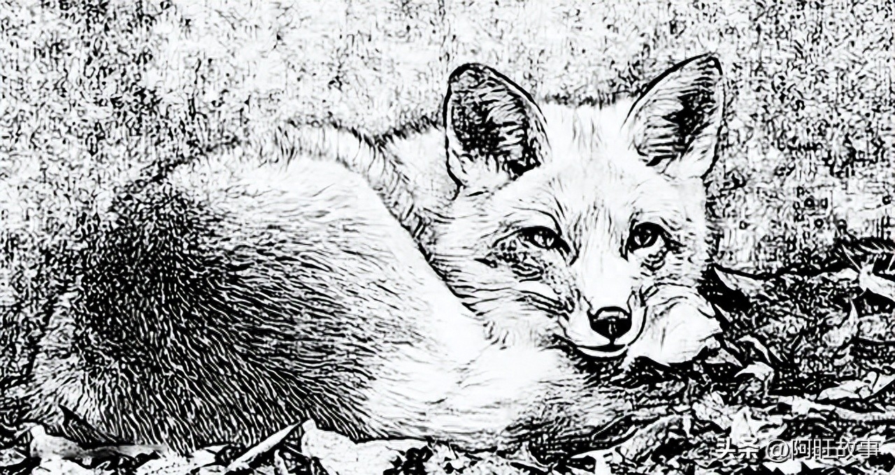 民间故事男子遭雷劈下集,民间故事男人将女人埋葬