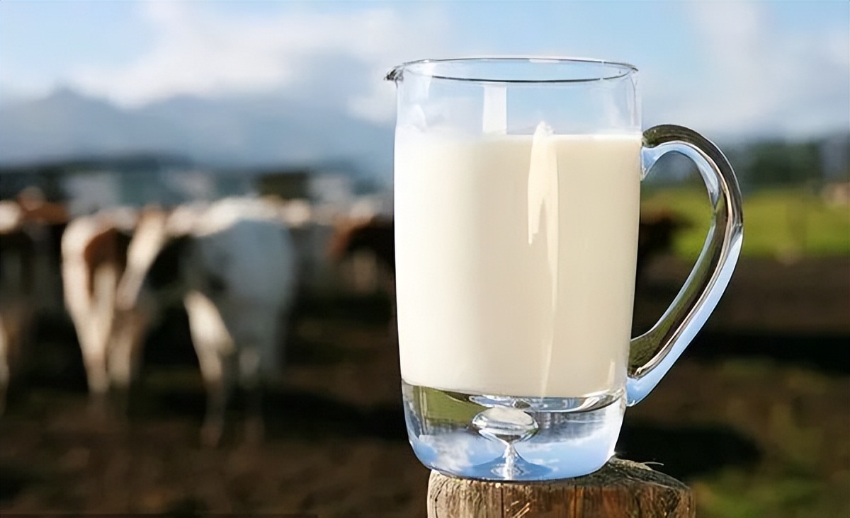 老年人高蛋白食物可以多吃吗,老人多食高蛋白食物好吗