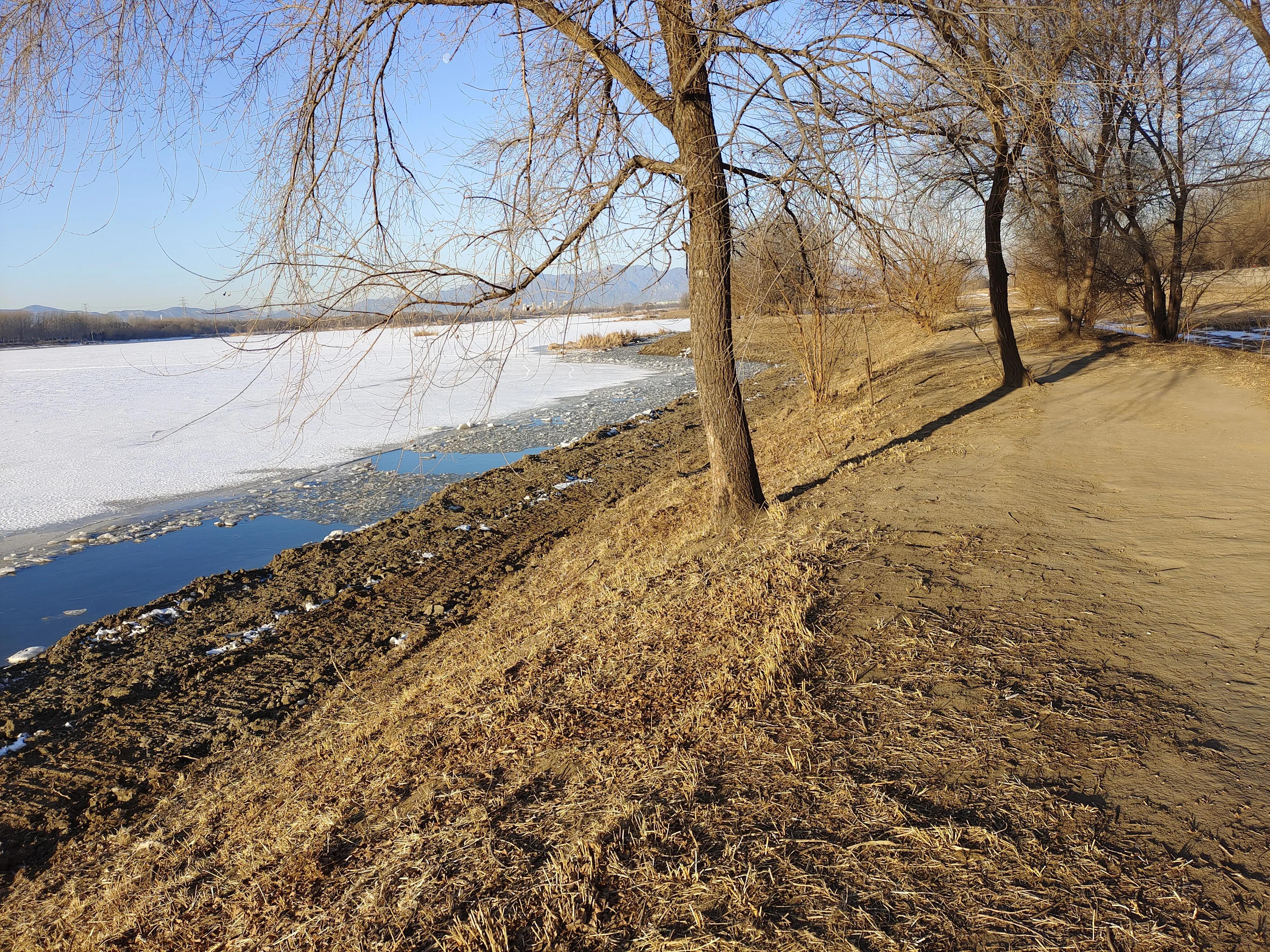 又是新的一周表情包,又是新的一周开始了图片