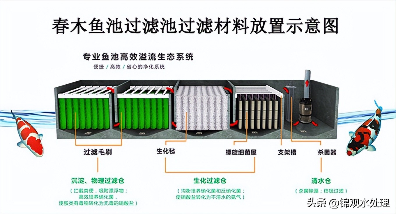鱼池过滤毛刷安装方法,露天鱼池植物过滤方法