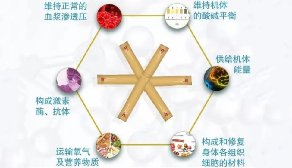 长在白蚁窝里的菌类,白蚁窝长什么蘑菇