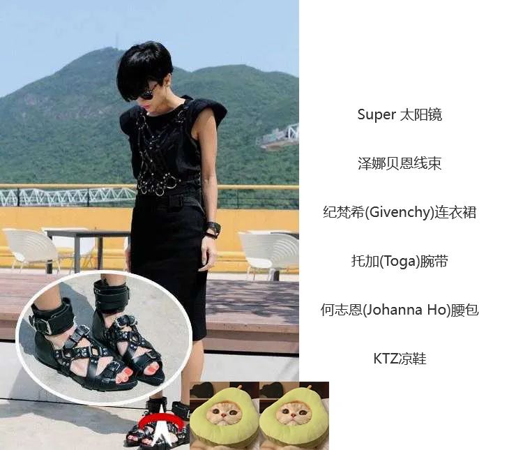 顶级明星的收入,顶级歌手一年版权收入