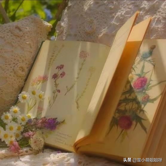 怎样才可以一夜涨粉到6000,如何3个月涨粉1000万