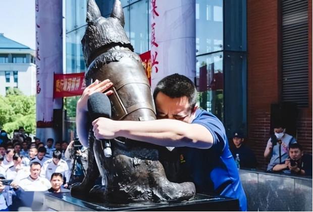 汶川地震67只搜救犬全部离世,汶川地震的67只搜救犬