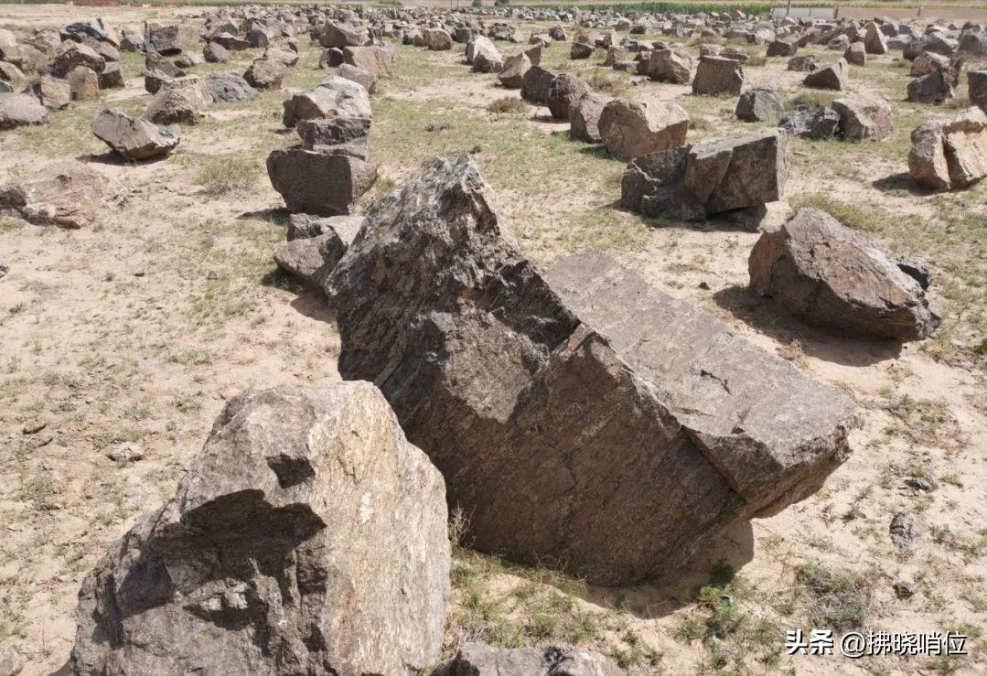 王军乐图片,王军音乐作品