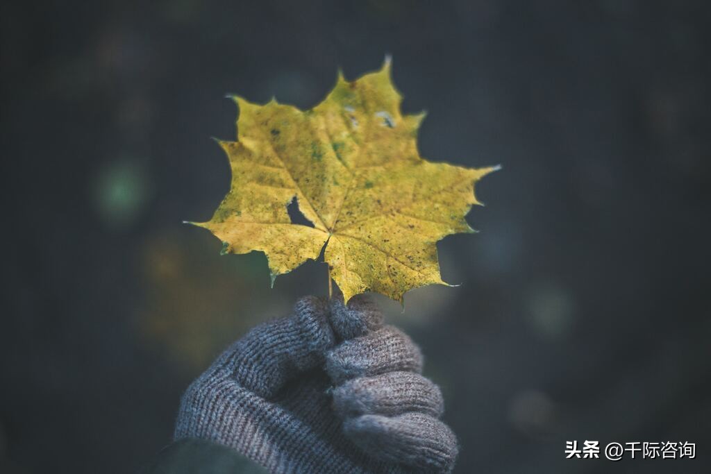 中国股票代持,2023年股票投资行业分析