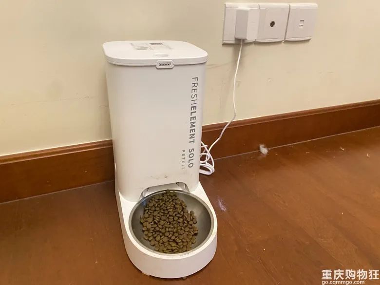 宠物博主有多赚钱,宠物博主怎么盈利