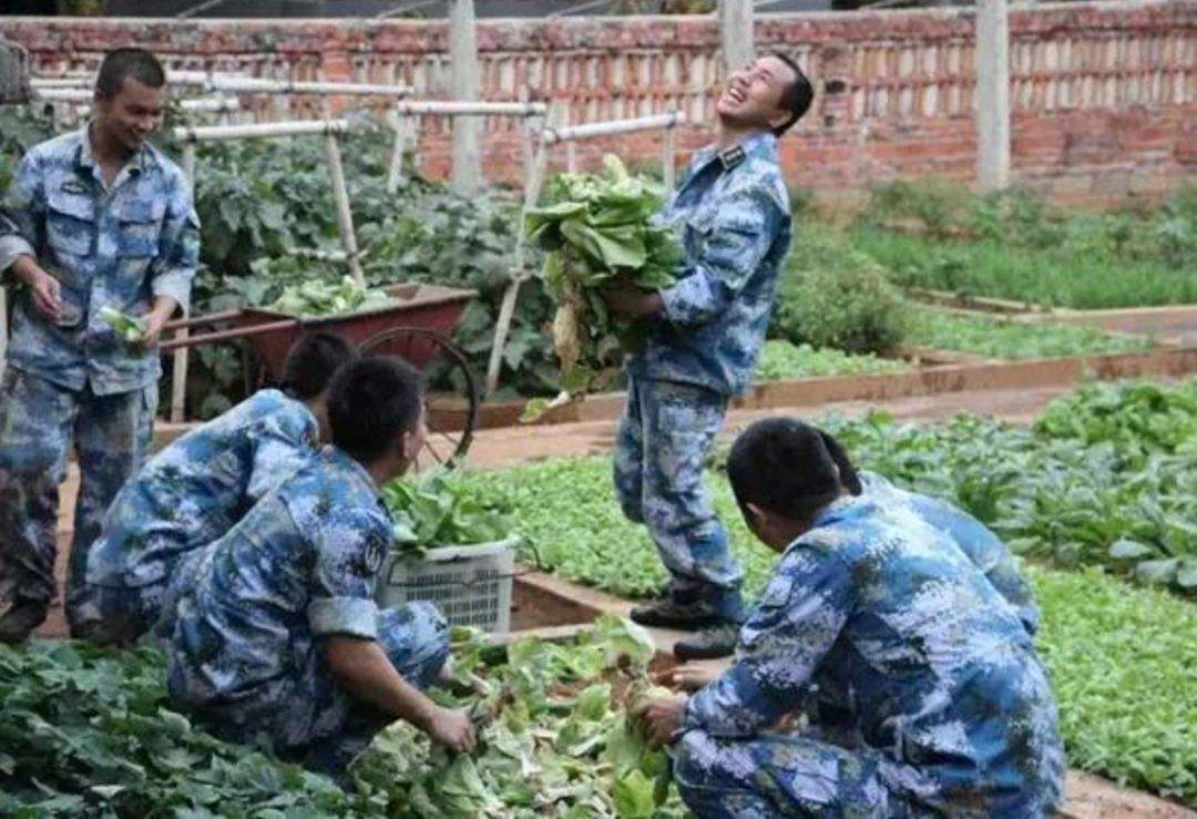 南海各个岛屿都是哪年收复的,中国南海最具价值的岛屿