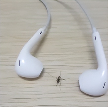 被蚊子咬掐十字止痒法,被蚊子叮咬后掐十字有用吗