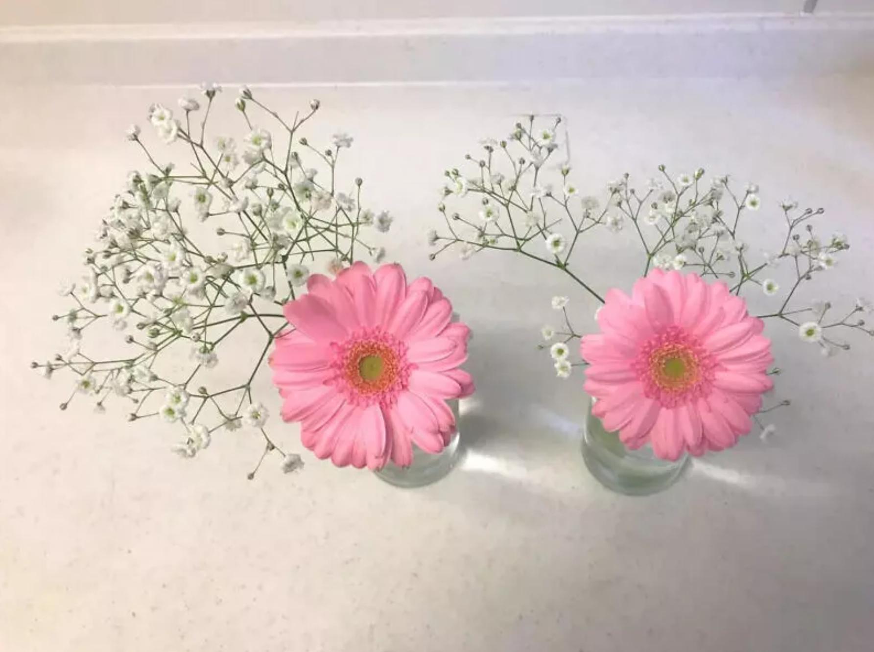 怎样让买回来的鲜花盛开,怎样让买来的鲜花不枯萎