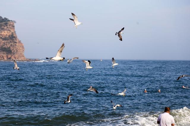 大连三天两晚游随团,大连三日游行程路线推荐