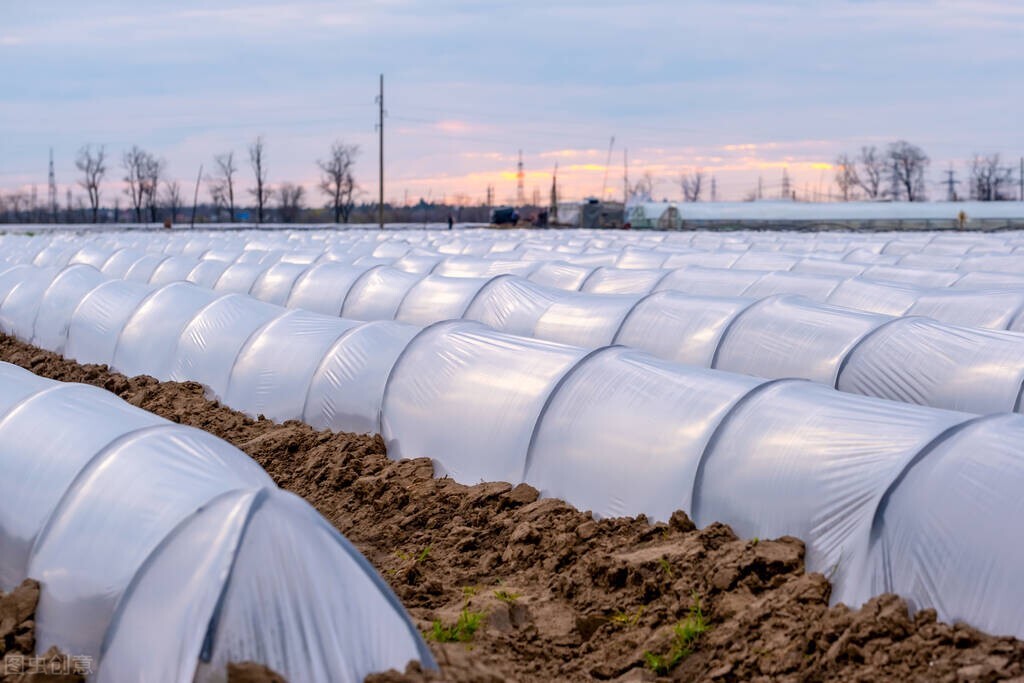 日本收集中国烟头是真的吗,日本高价收购我国烟头