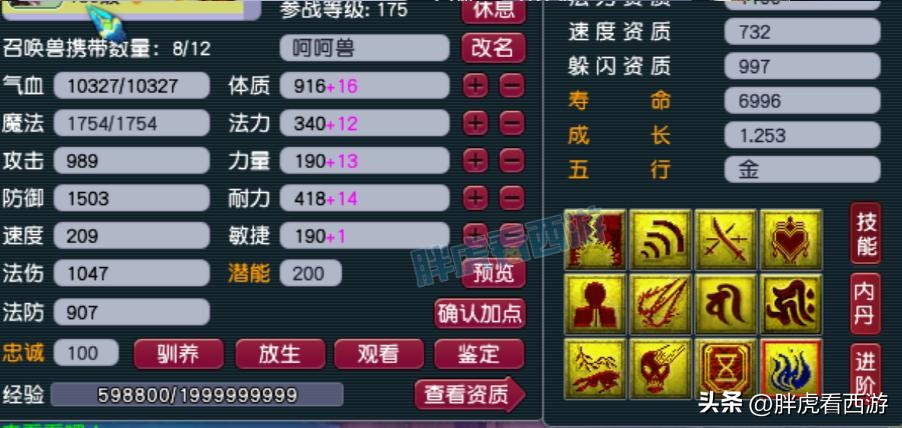 梦幻西游F哥展示,梦幻西游f哥装备展示