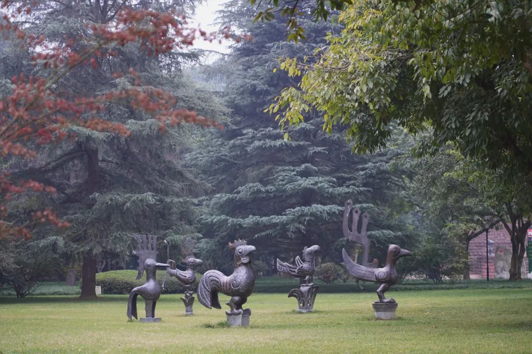 三星堆博物馆最值得看的文物,带孩子游览三星堆博物馆参观攻略