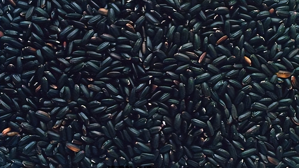 骞胯タ娌虫睜鍦扮悊鏍囧織鍐滀骇鍝佹湁鍝簺,娌虫睜鍐滀骇鍝佷寒鐩稿箍瑗垮啘浜や細